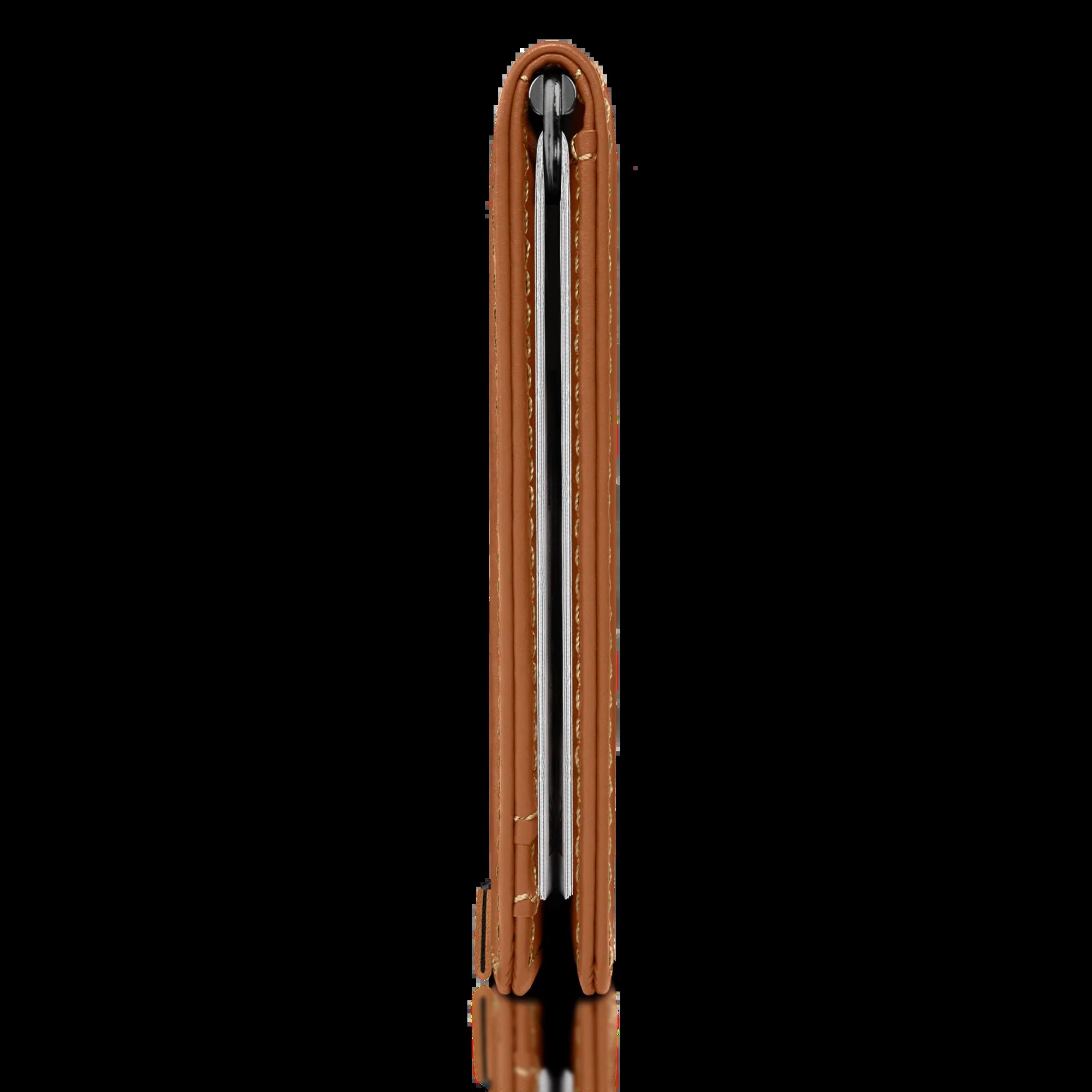 Money Clip