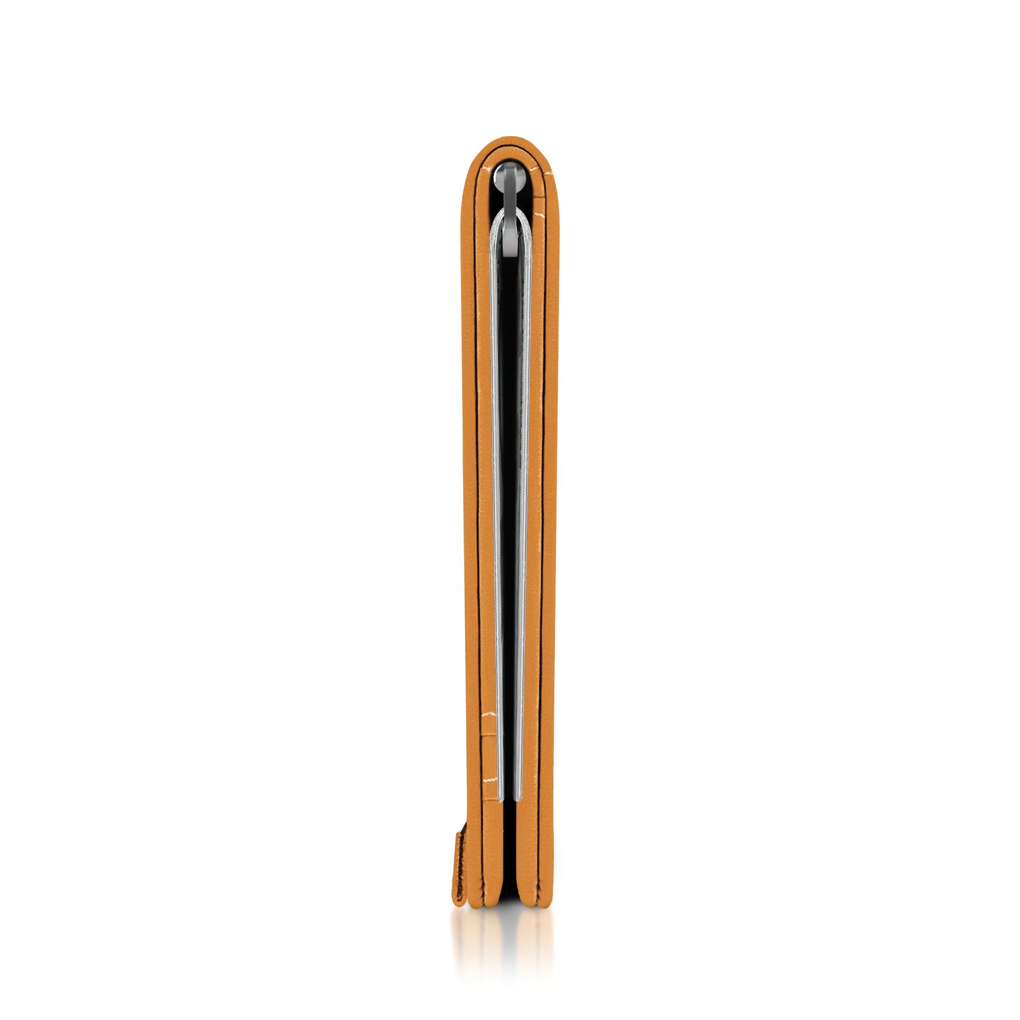 Money Clip